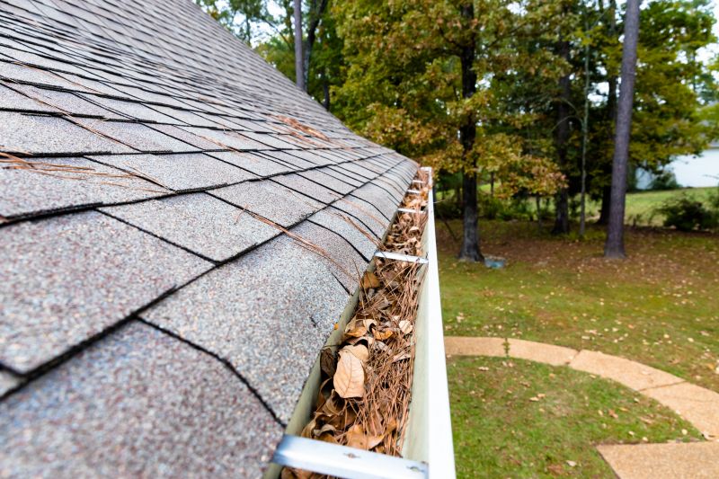 Commercial Gutter Maintenance in Mcdonough, GA