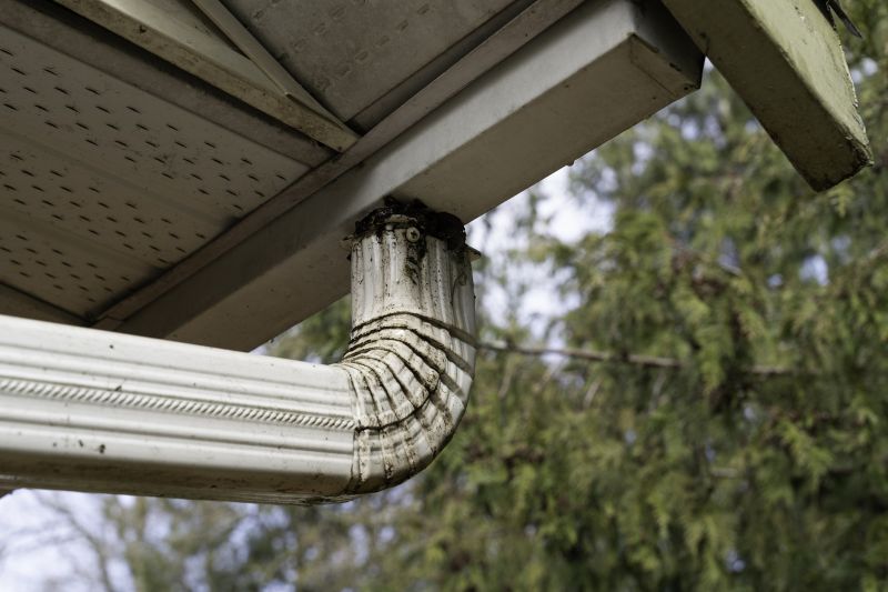 Downspout Cleaning Costs — Cost of Downspout Cleaning