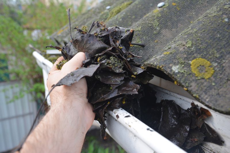 Gutter Maintenance in Boulder, CO