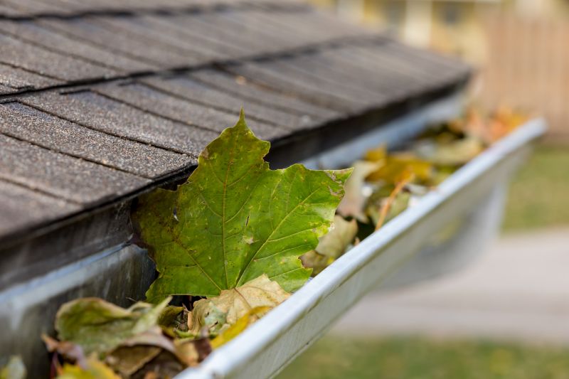 Gutter system inspection